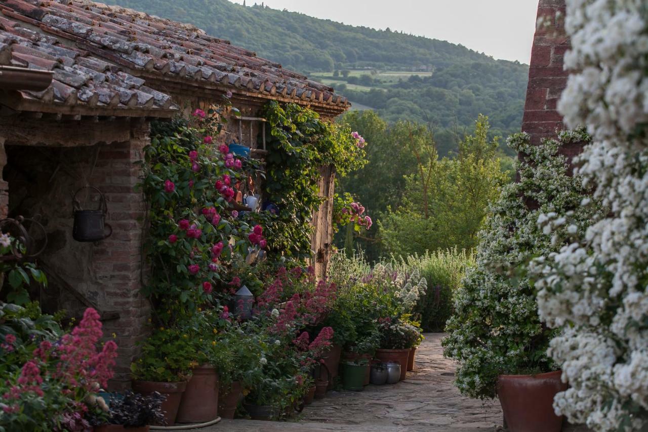 Follonico 4-Suite B&B Torrita di Siena Exterior foto